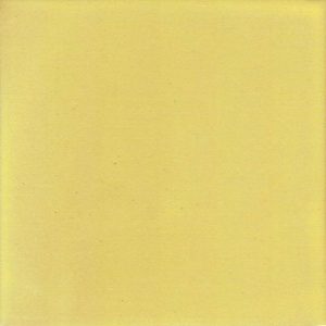 Canary Yellow TNH
