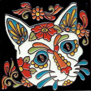 Cat Face DOTD